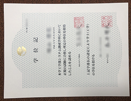 University Of Tokyo Degree Certificate