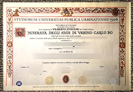 University of Urbino diploma