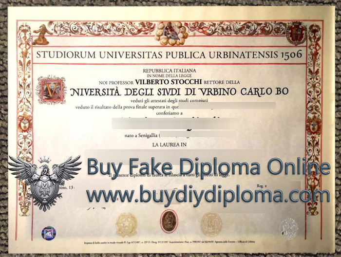 University of Urbino diploma