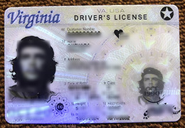 Virginia ID sample