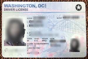 WASHINGTON DC Driver License sample