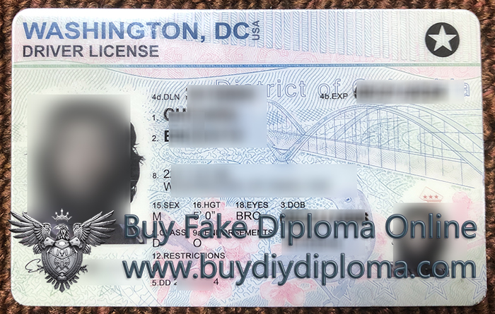 WASHINGTON DC Driver License