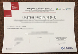 Em Lyon Business School degree