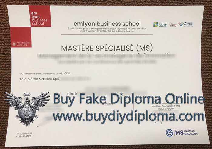 Em Lyon Business School degree