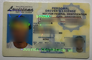 Louisiana fake ID Drving License sample