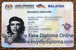 Malaysia Driving license