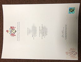 University of Wales Trinity Saint David diploma sample